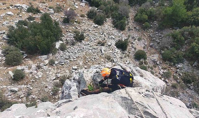 Burdur'da dağlık alanda mahsur kalan keçileri AFAD ekipleri kurtardı