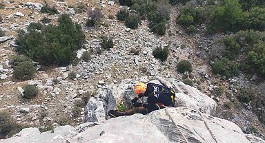 Burdur'da dağlık alanda mahsur kalan keçileri AFAD ekipleri kurtardı