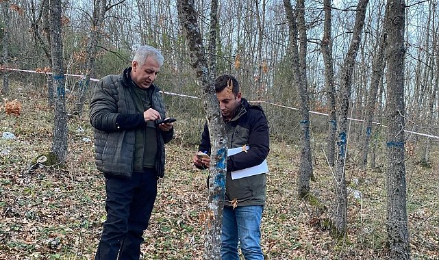 Bursa Ormanlarındaki ağaçlar tek tek kontrol edildi