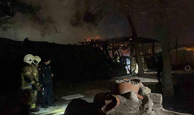 Bursa'da tarihi Kestel Kalesi alevlere teslim oldu