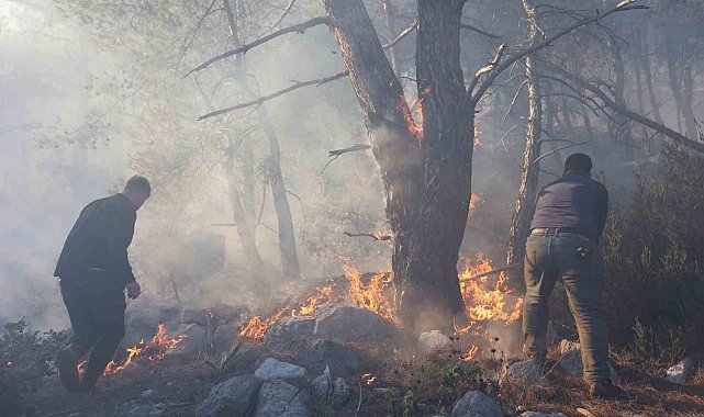 Büyükşehir itfaiyesinden orman yangınına müdahale desteği