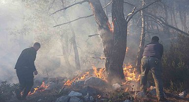 Büyükşehir itfaiyesinden orman yangınına müdahale desteği