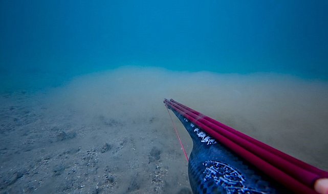 Çanakkale Boğazı'nda müsilajın deniz dibindeki yoğunluğu arttı