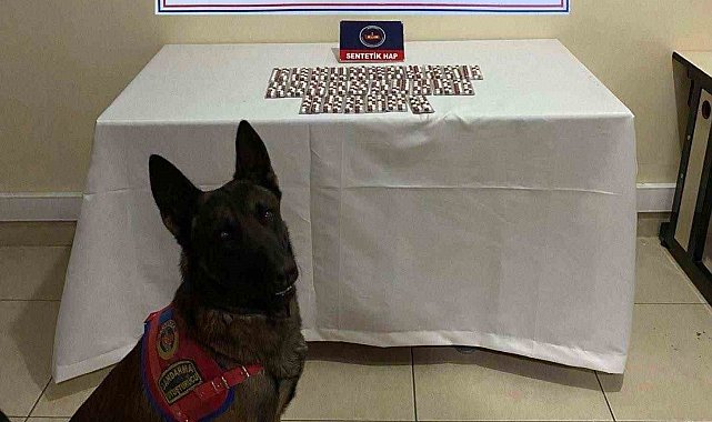 Çankırı'da aranan 116 şahıs yakalandı