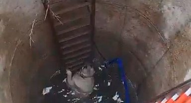 Çatalca'da kuyuya düşen köpeği itfaiyeciler kurtardı