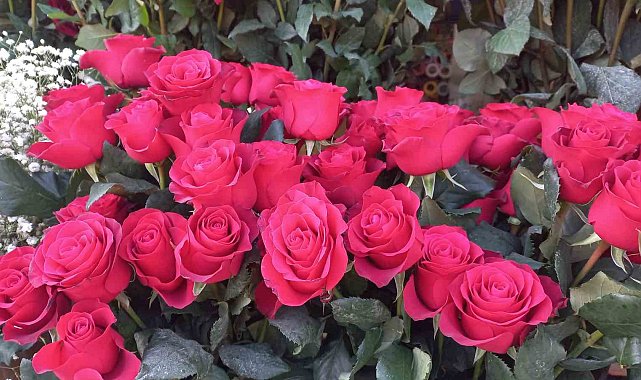 Çiçekçiler Sevgililer Günü'nde satışlardan memnun değil