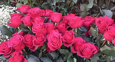 Çiçekçiler Sevgililer Günü'nde satışlardan memnun değil