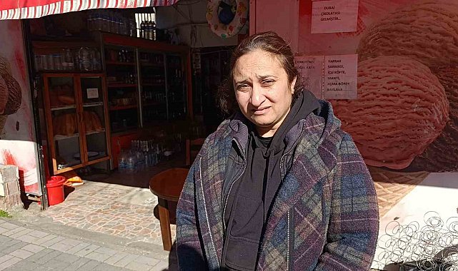 Cins kedisi kaybolan kadın, güvenlik kamera kayıtlarını izleyince şoke oldu