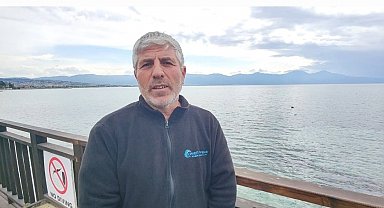 Denizden yüzerek çıkan yaban domuzu şaşırttı