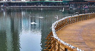 Denizi olmayan şehirde martı şöleni