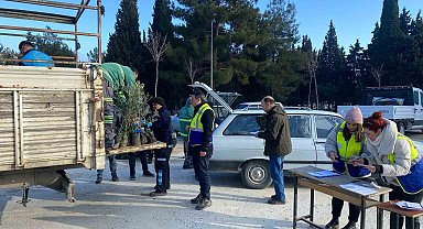 Denizli Büyükşehirden Buldanlı üreticilere zeytin fidanı desteği