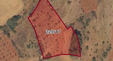 Denizli'de 9 yıldır sit alanı olarak koruma altına alınan arazide mülk sahibinin ağaç kesme başvurusu ile gerçek ortaya çıktı