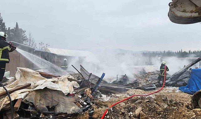 Depo olarak kullanılan konteynerler alevlere teslim oldu