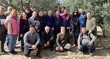 Didim'de zeytin budama kursu kursiyerlerine uygulamalı eğitim