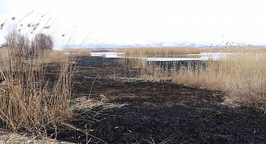 Dilkaya sazlığında yangın