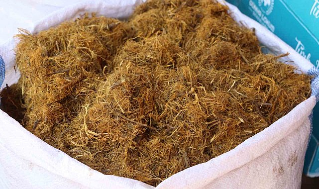 Diyarbakır'da aktarcı meyan şerbetinin hazırlanışını tarif etti