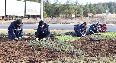 Diyarbakır'da çiçeklendirme çalışmaları devam ediyor
