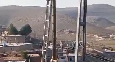 Diyarbakır'da direkte mahsur kalan kedi merdiven yardımıyla kurtarıldı