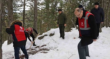 Doğa Koruma ve Milli Parklar Uludağ'daki yaban hayvanlarını unutmadı
