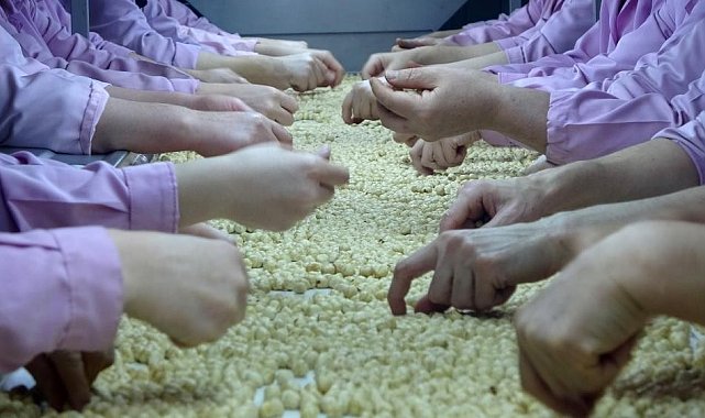 Düzce'den AB ülkelerine 2 bin 416 ton fındık ihraç edildi