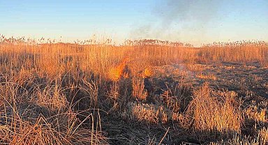 Eber Gölü'nü yakmaya çalışan 5 kişiye yaklaşık 3 milyon TL para cezası kesildi