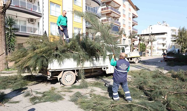 Efeler Belediyesi ağaç budama ve bakım çalışmalarını sürdürüyor