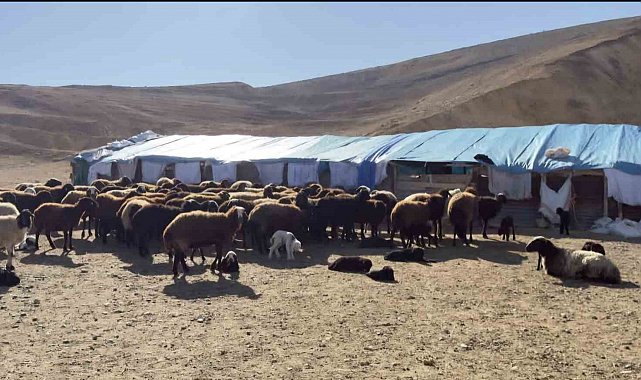 Elazığ'da karantina uygulanan 3 ilçede ekiplerin çalışmaları sürüyor