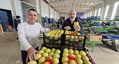 Elma fiyatını maliyetler yükseltiyor