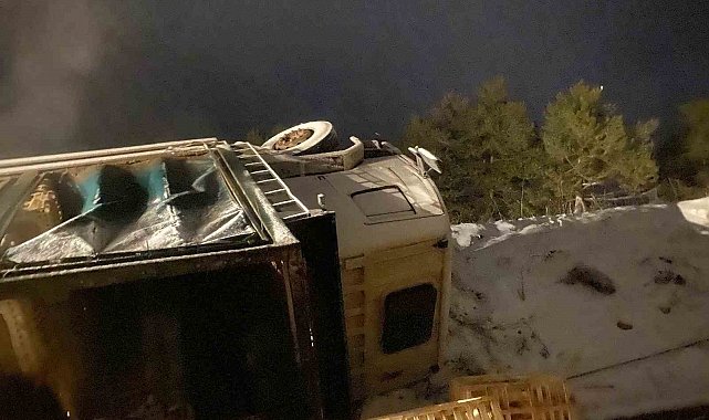Erpiliç'in tavuk yüklü kamyonu devrildi: Yüzlerce tavuk telef