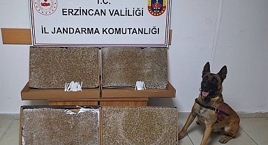 Erzincan'da 2025 Ocak ayında jandarma mıntıkasında meydana gelen 126 olayın yüzde 99'u aydınlatıldı