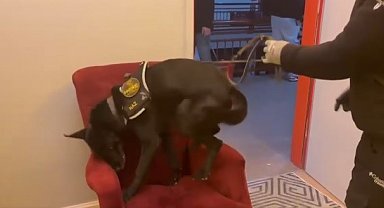 Erzincan'da bir miktar uyuşturucu madde ve 1 adet av tüfeği ele geçirildi