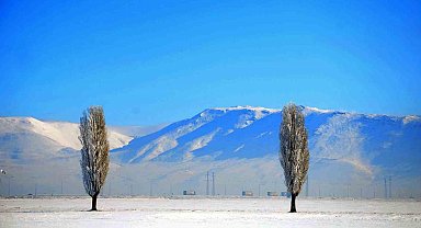 Erzurum'da zemheri soğuklar