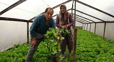 Eşi ile birlikte ürettiği marulları müşterilerini dahi görmeden satıyor