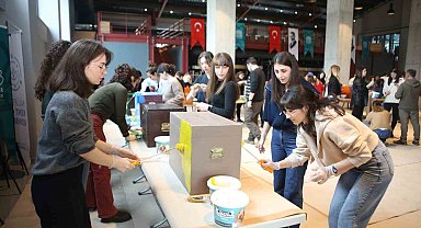 Eski oy sandıkları kedilere yuva oldu