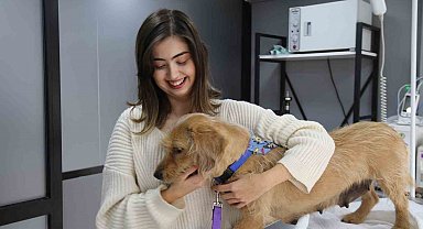 Eskişehir'de vurulan 12 yerinden yaralanan köpek hayvan severler tarafından tedavi ettirildi