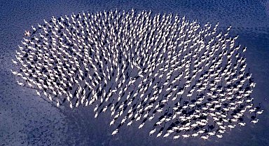 Eskişehirli fotoğraf sanatçısı, uluslararası yarışmada Bireysel Dünya 2'inciliği kazandı