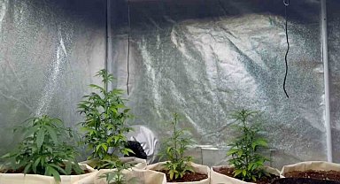 Evini kenevir serasına çevirmiş