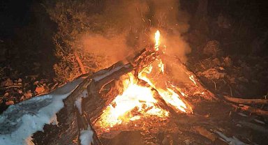 Feke'de çıkan orman yangını söndürüldü