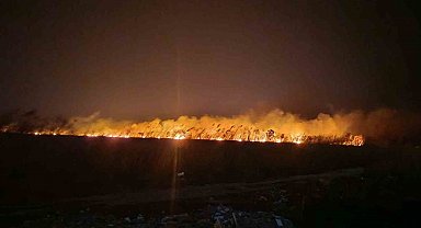 Göksu Deltası'nda yangın