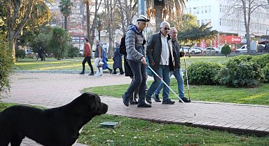 Görme engellilerin kabusu: Scooterlar, sokak köpekleri, kaldırım işgalleri