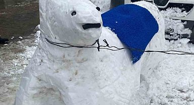 Hakkari esnafı kardan eşek yaptı