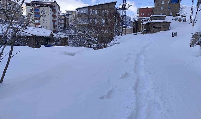 Hakkari'de 18 köy ve 64 mezra yolu ulaşıma kapandı