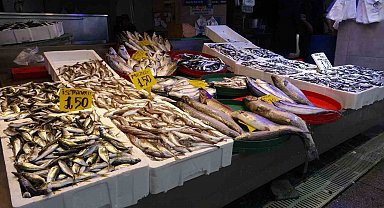 Hamsi tekrar bol miktarda tezgâhlarda yerini aldı