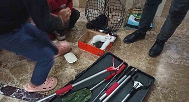 Havalandırma boşluğuna giren yavru kediler kurtarıldı