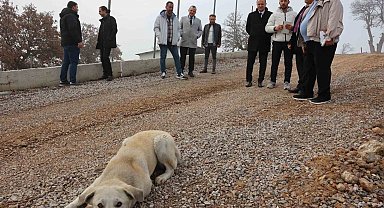 Hayvan Yaşam Merkezi mart ayının son haftasında açılacak