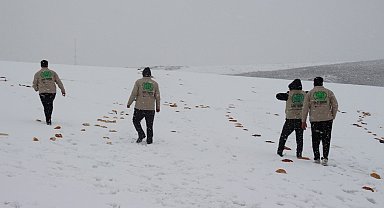 Hayvanların doğada aç kalmaması için çalışma yaptılar