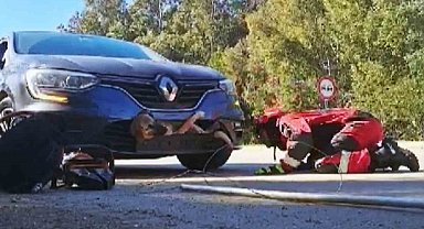 İlginç kaza, aracın çarptığı köpek tampona sıkıştı