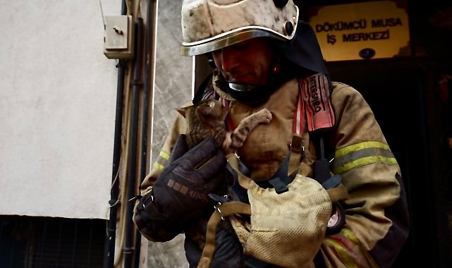 İş hanında çıkan yangın erken müdahale ile söndürüldü