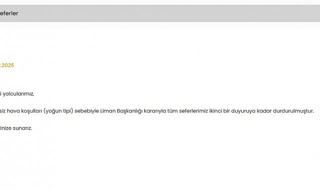 İstanbul'da kar yağışı deniz ulaşımını da etkiledi: Şehir hatlarının tüm seferleri iptal edildi
