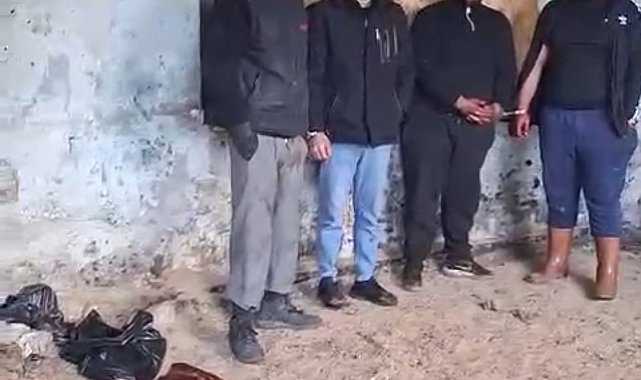 İzmir'de at eti keserken suçüstü yakalandılar